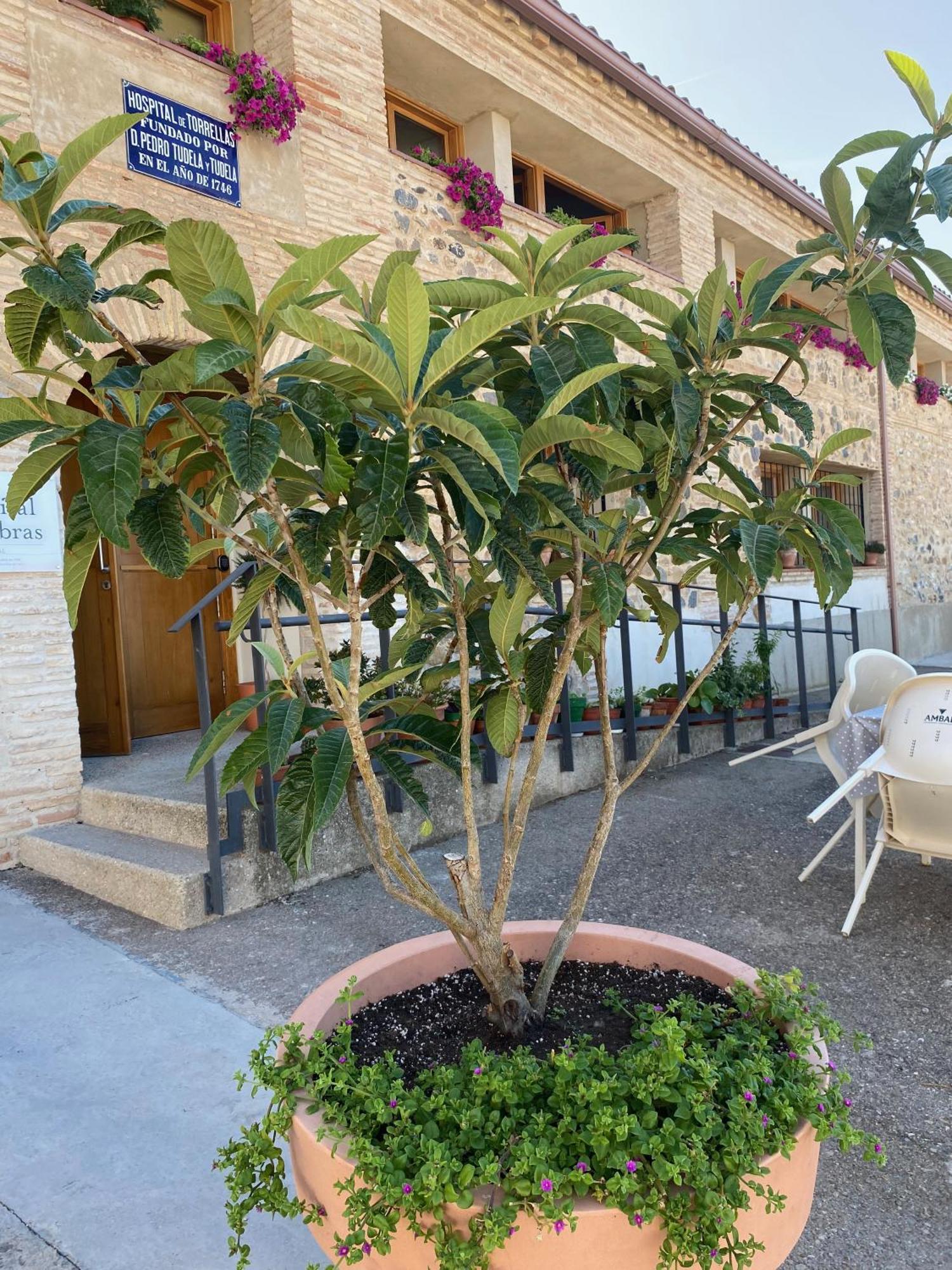 Casa Rural Hospital De Las Palabras Torrelles エクステリア 写真